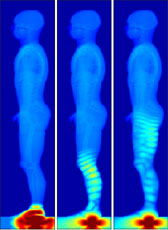 Simulation Result (DEMOHB Male)